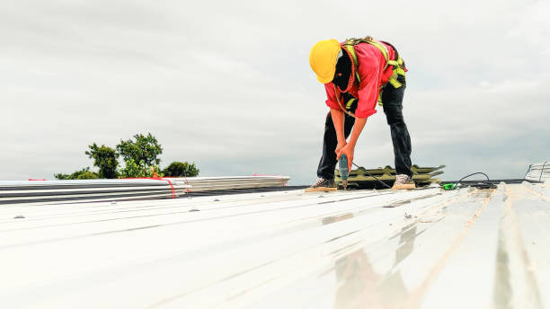 Best Asphalt Shingle Roofing  in Hubbard, OR